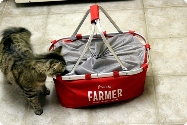 from the farmer DC
