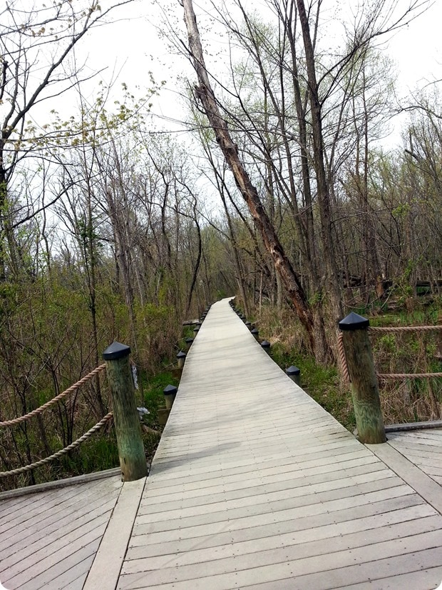 20140419_152626