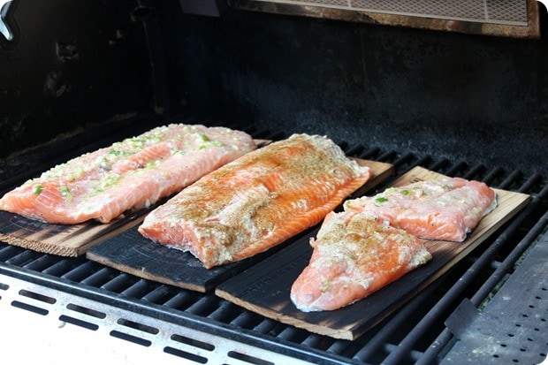 cedar plank salmon