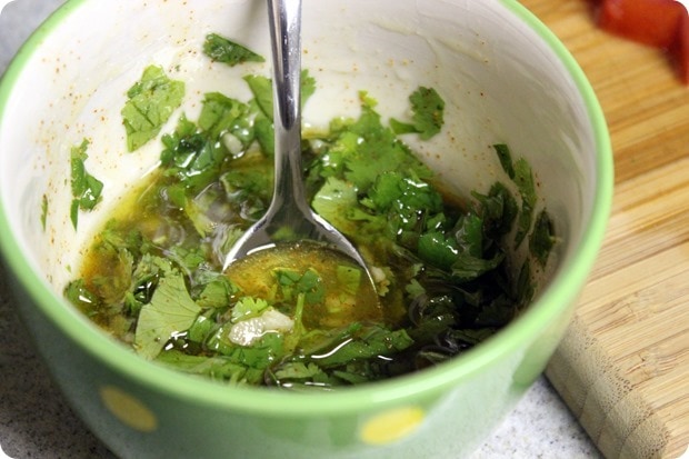 cilantro chimichurri sauce