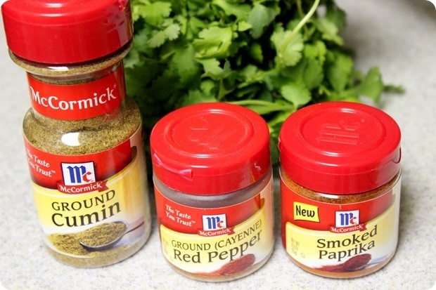 seasonings for chimichurri sauce