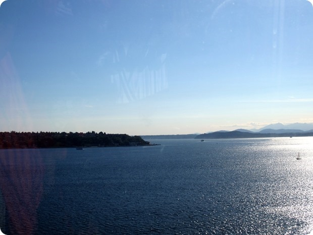 view from seattle great wheel