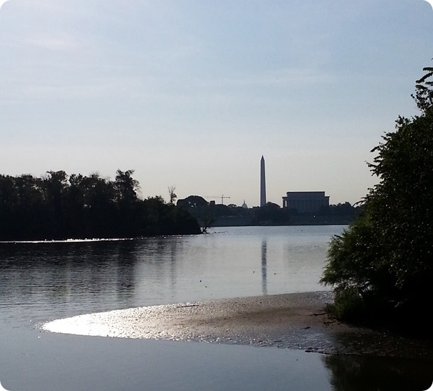 20140701_074858