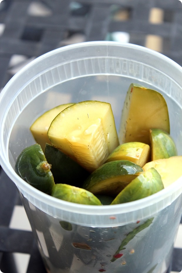 how to pickle cucumbers quickly