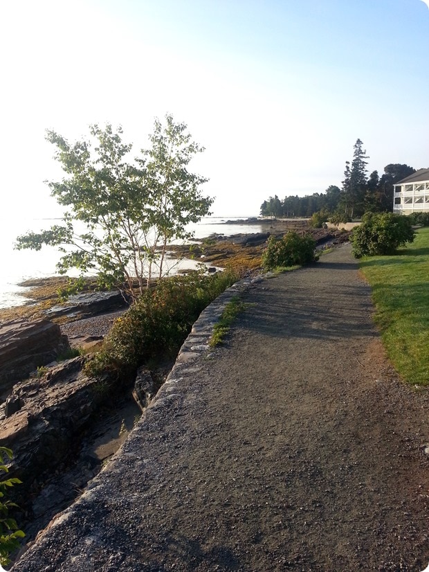 20140816_064621