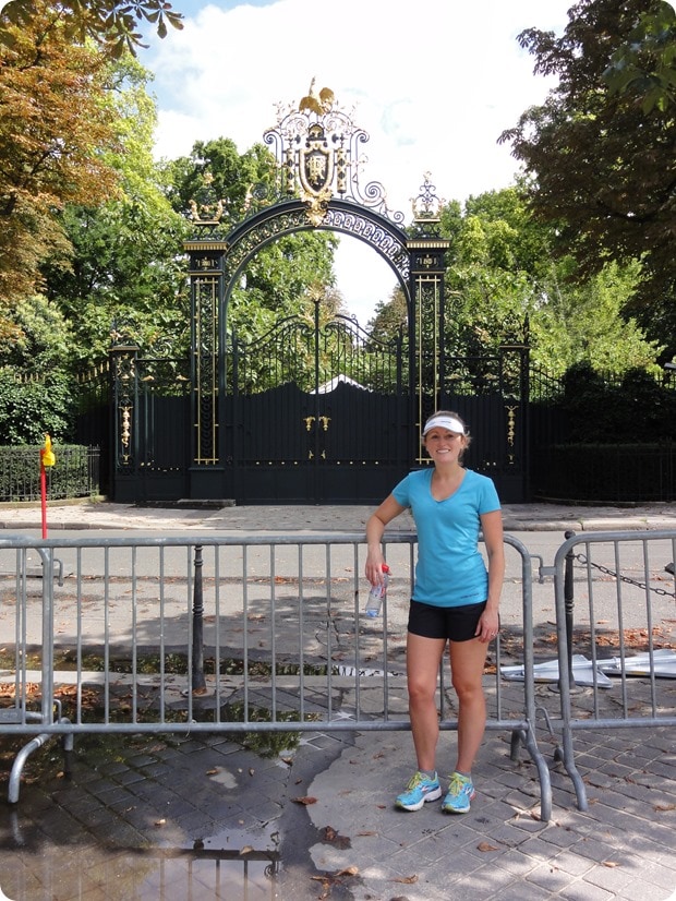 PRT2014-08-04_22_PalaisDeLElysee[1]