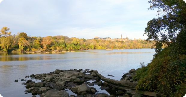 20141108_154111