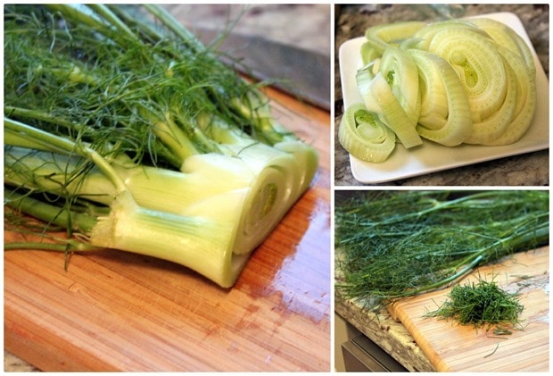 fennel