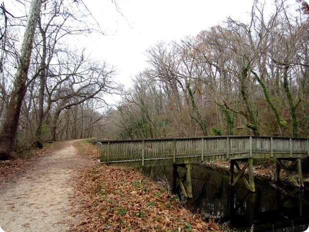running on the c&o canal