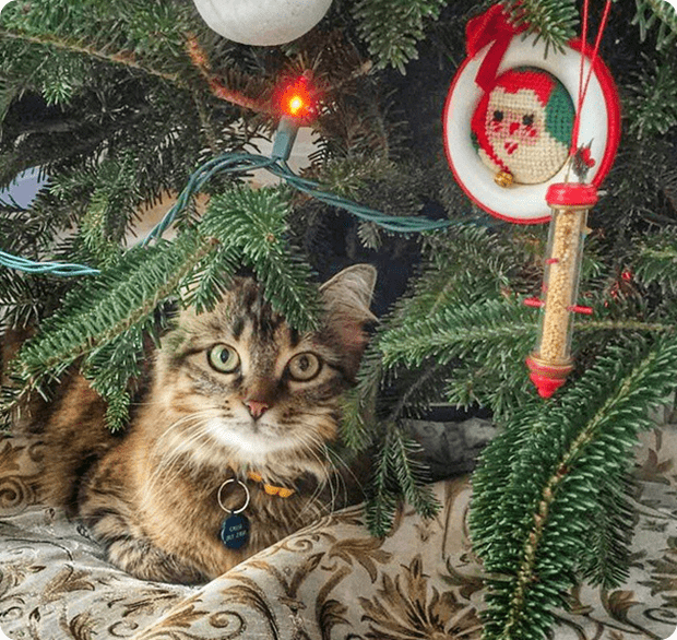 zara_christmas