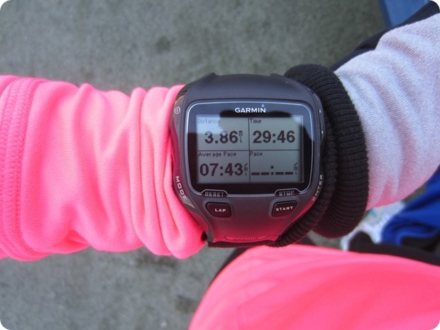 IMG_0641