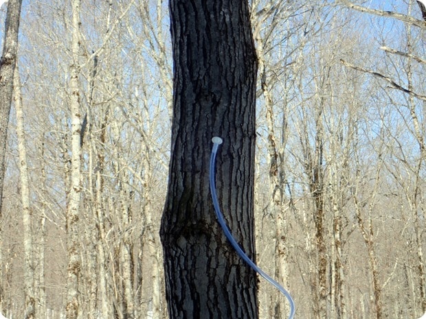 P3230025