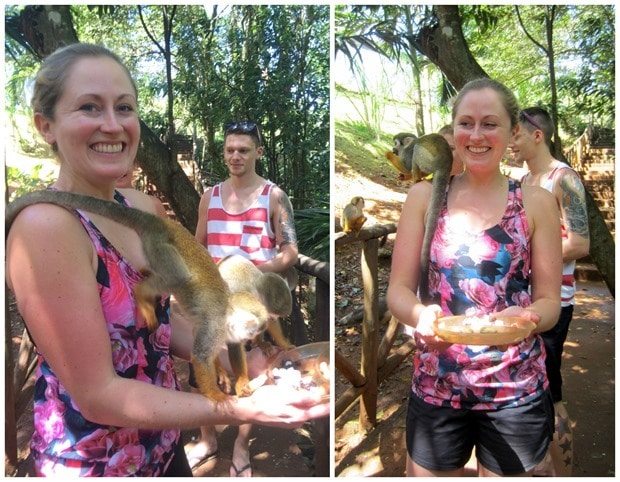 monkey jungle dominican republic
