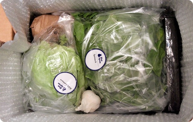 blue apron review