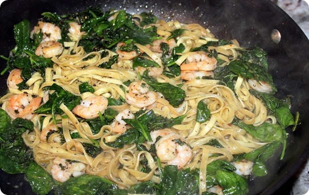 blue apron review discount code