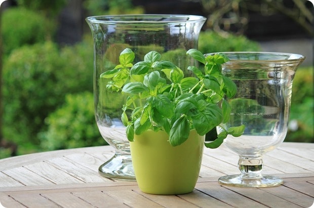 natural headache remedies