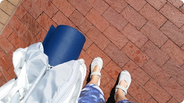 blue nectar yoga falls church