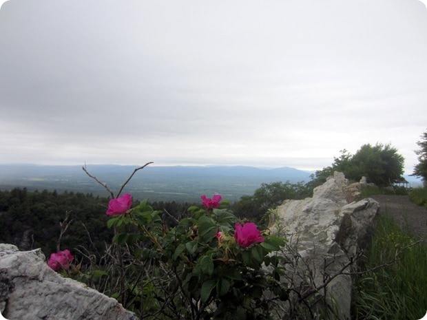 mohonk mountain house labyrinth trail