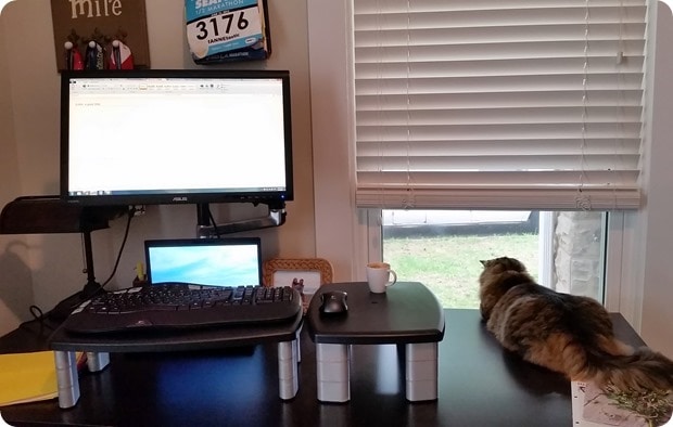 standing desk home
