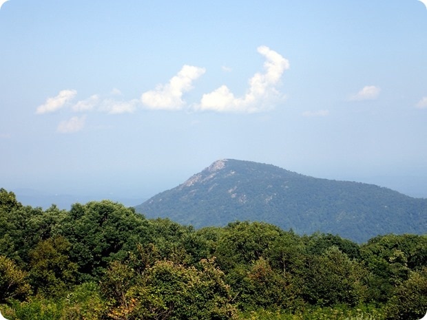 P8160074