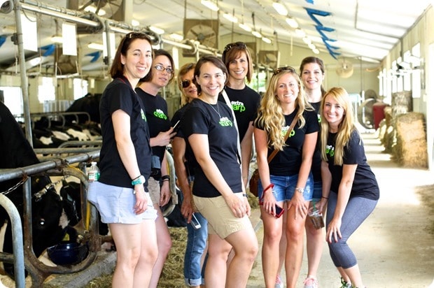 cabot fit with cows
