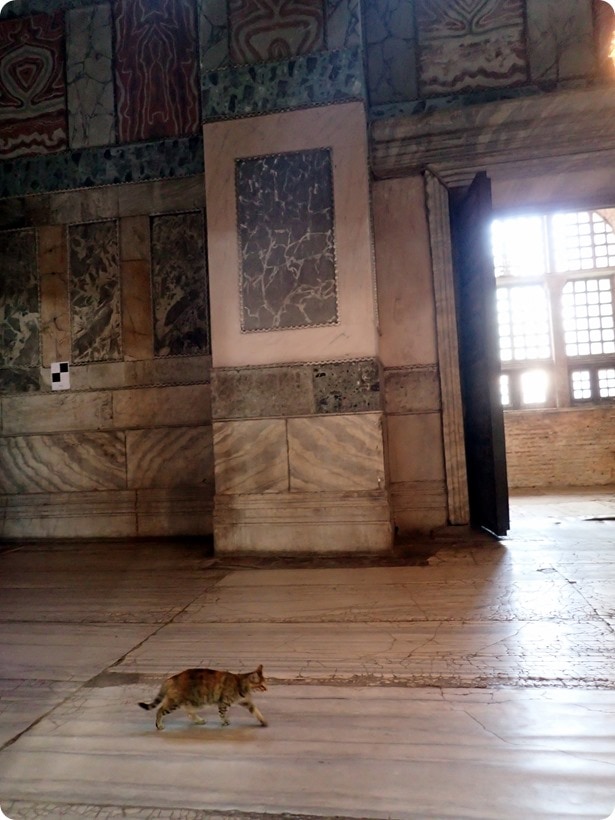 hagia sophia 