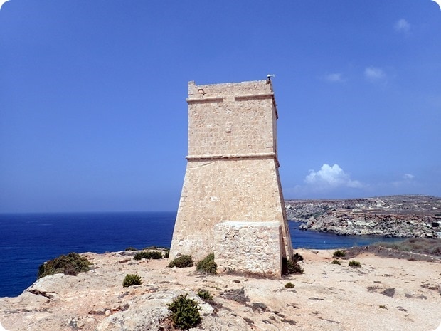 P8260135