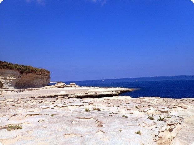 P9010355