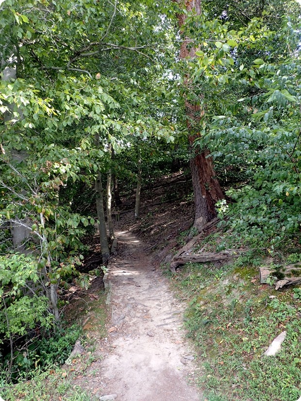 P9200009