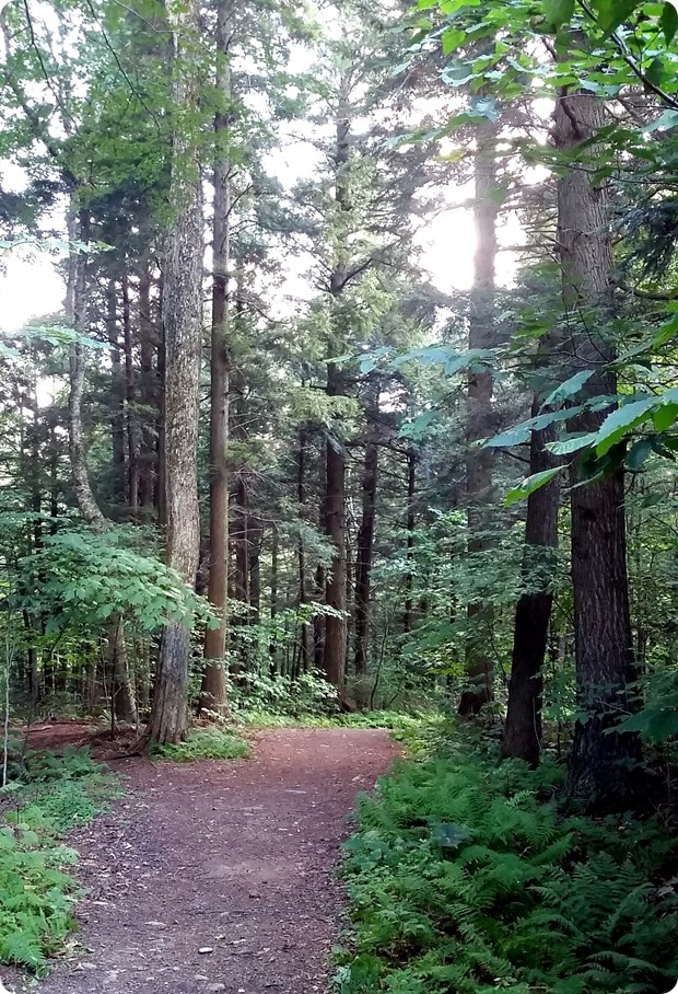 smugglers notch on property hiking