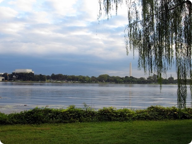 running on the mount vernon trail