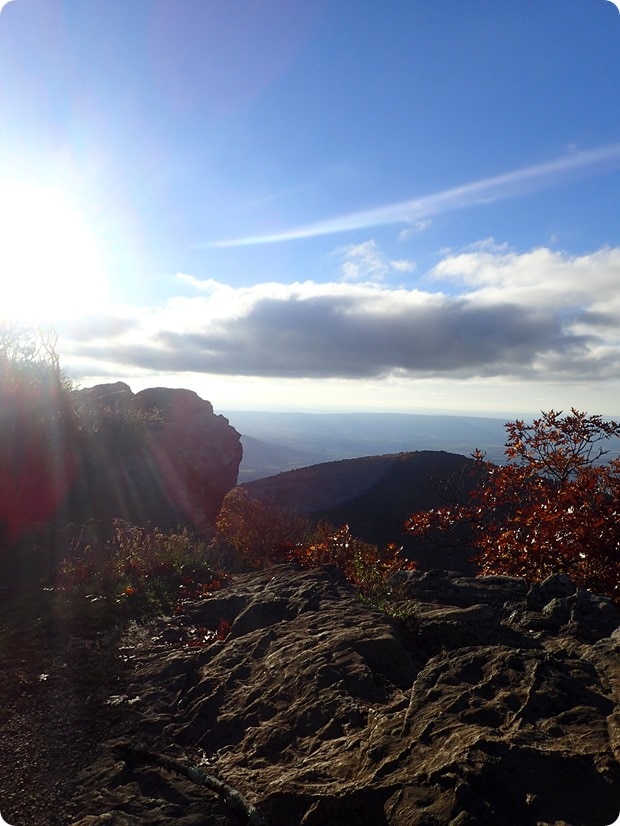 hawksbill mountain summit