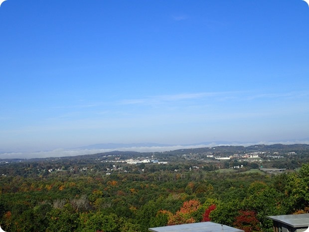 the iris inn views