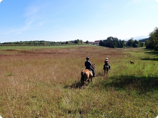 rebels run afton mountain horseback riding