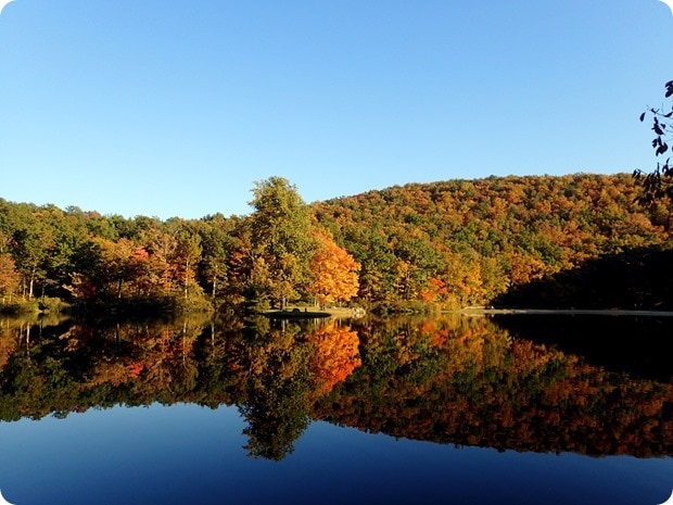 sherando lake autumn