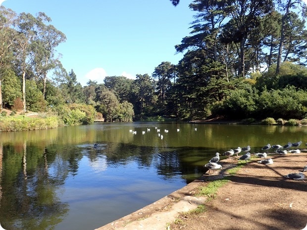 golden gate park lake