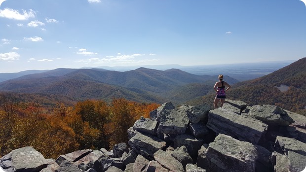 bearfence mountain views