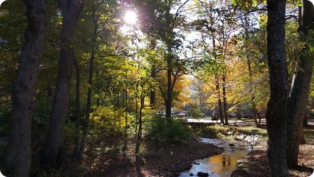 lake sherando stream