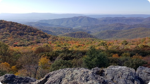 shenandoah national park view
