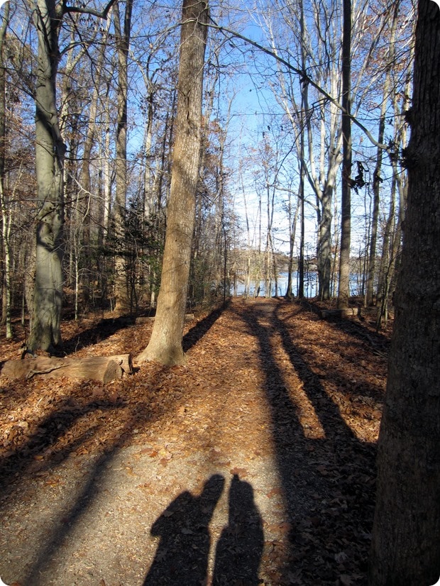 burke lake park trail running