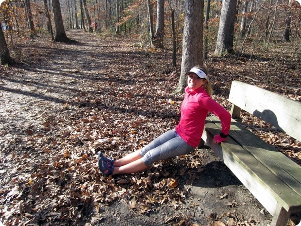 bench dip burke lake park