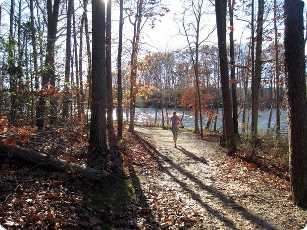 burke lake park trial running