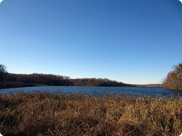 burke lake park trail running