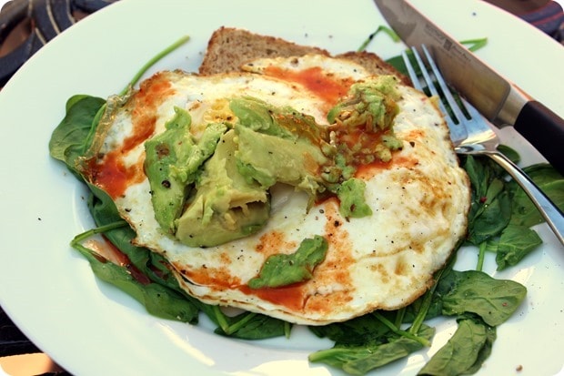 avocado nutrition