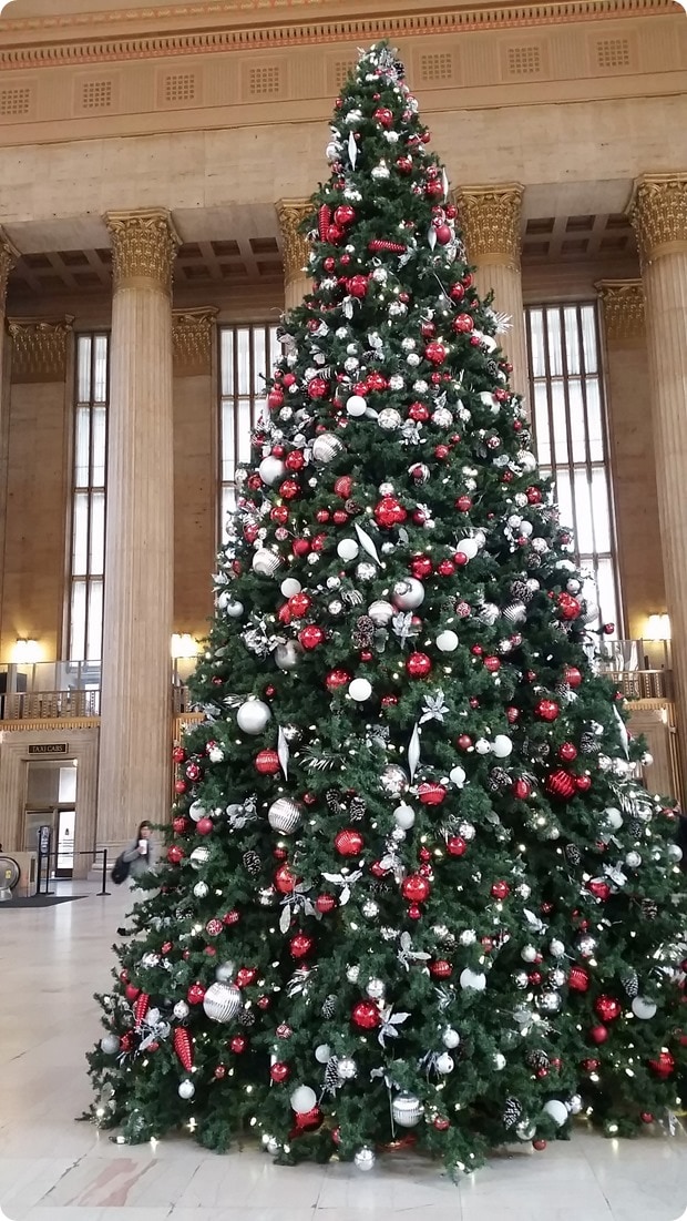 30th street station philadelphia christmas tree