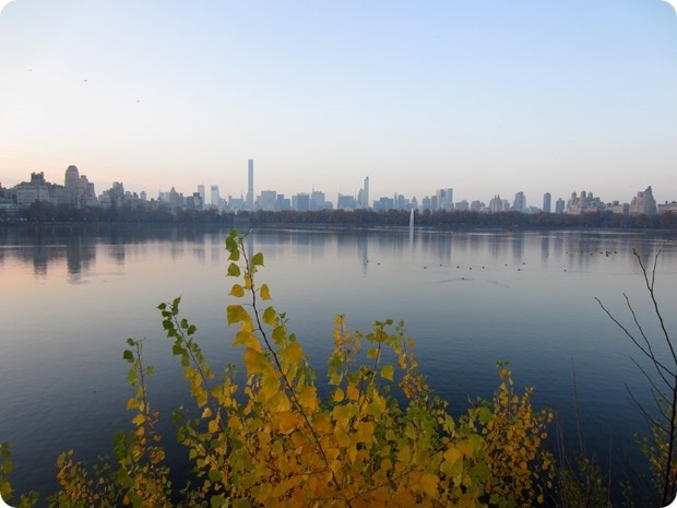 central park run