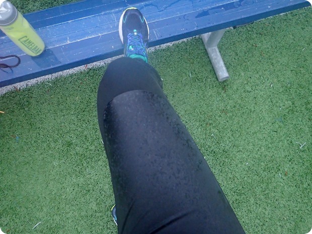 brooks seattle tights review