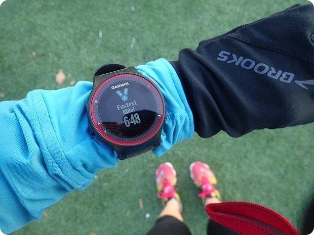garmin 225 features