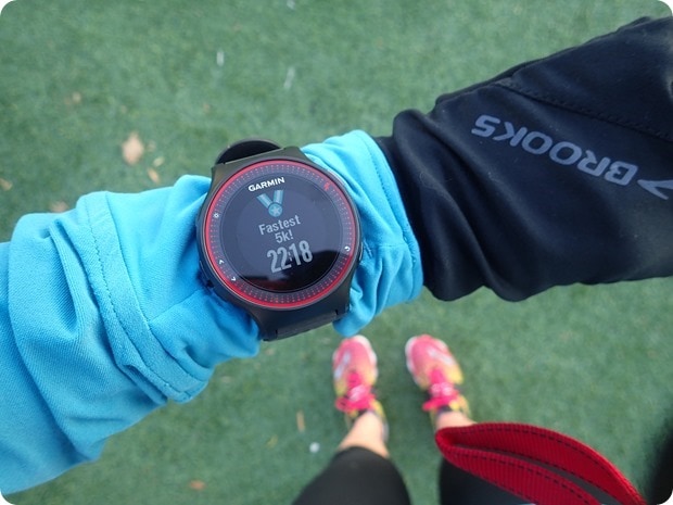 garmin 225
