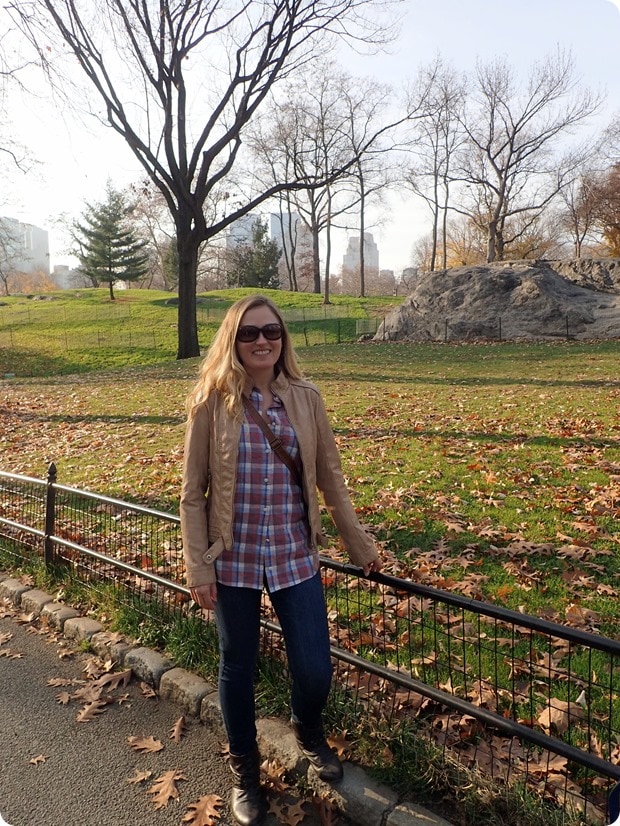 central park december
